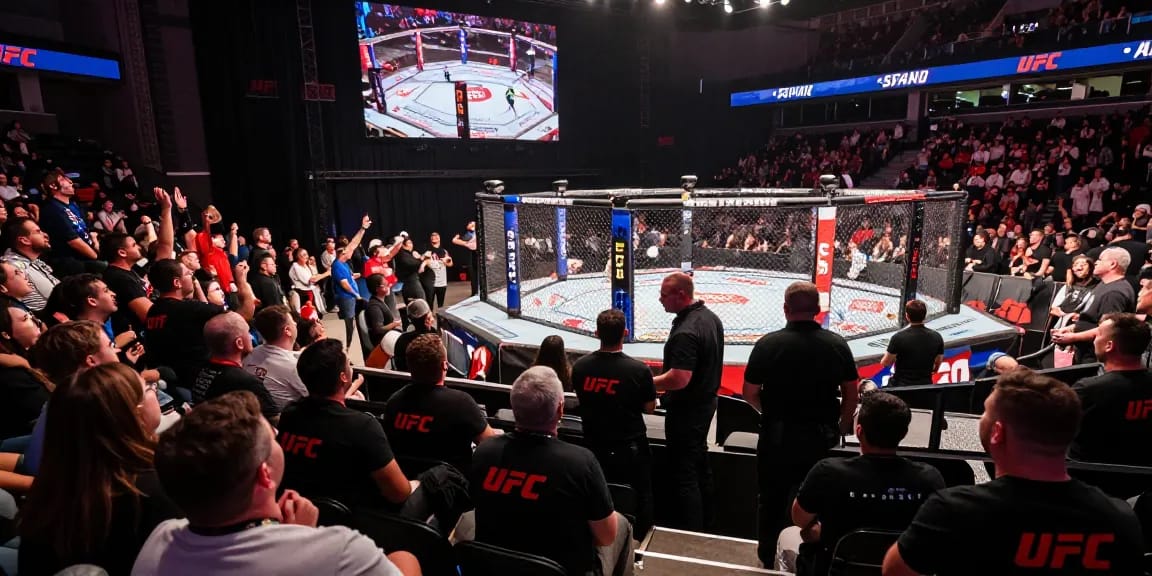 Entusiastas de UFC España disfrutando de eventos en vivo.